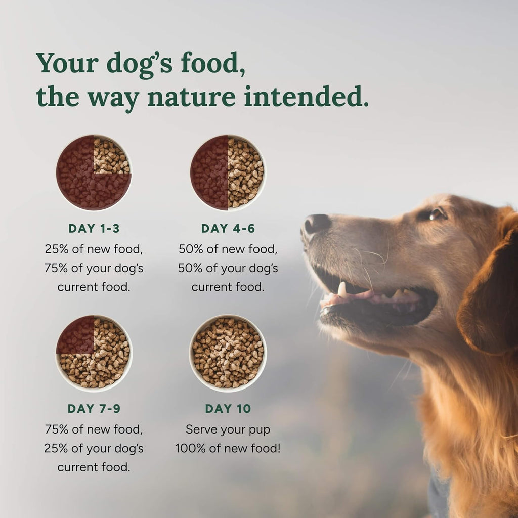 360 Pet Nutrition Freeze-Dried Raw Dog Food – Multi-Protein with Beef, Chicken, Fish, Liver & Organs, High Protein, Omega-3s, Fruits, Veggies & Superfoods, Grain-Free, No Fillers, 1 lb – Made in USA