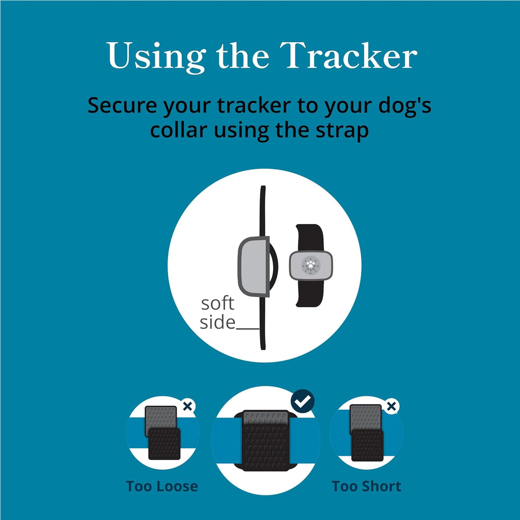 Petivity Smart GPS and Activity Pet Tracker for Dogs Powered by Purina, Waterproof Real Time Tracking GPS Dog Collar, Downloadable App, Subscription Required