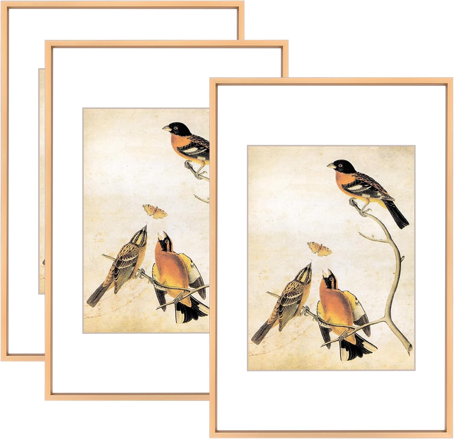 8x12 Picture Frame Set of 3, Gold Aluminum Metal Photo Frames with HD Glass, Fits 6x8 with Mat or 8 x 12 without Mat, Display for Wall