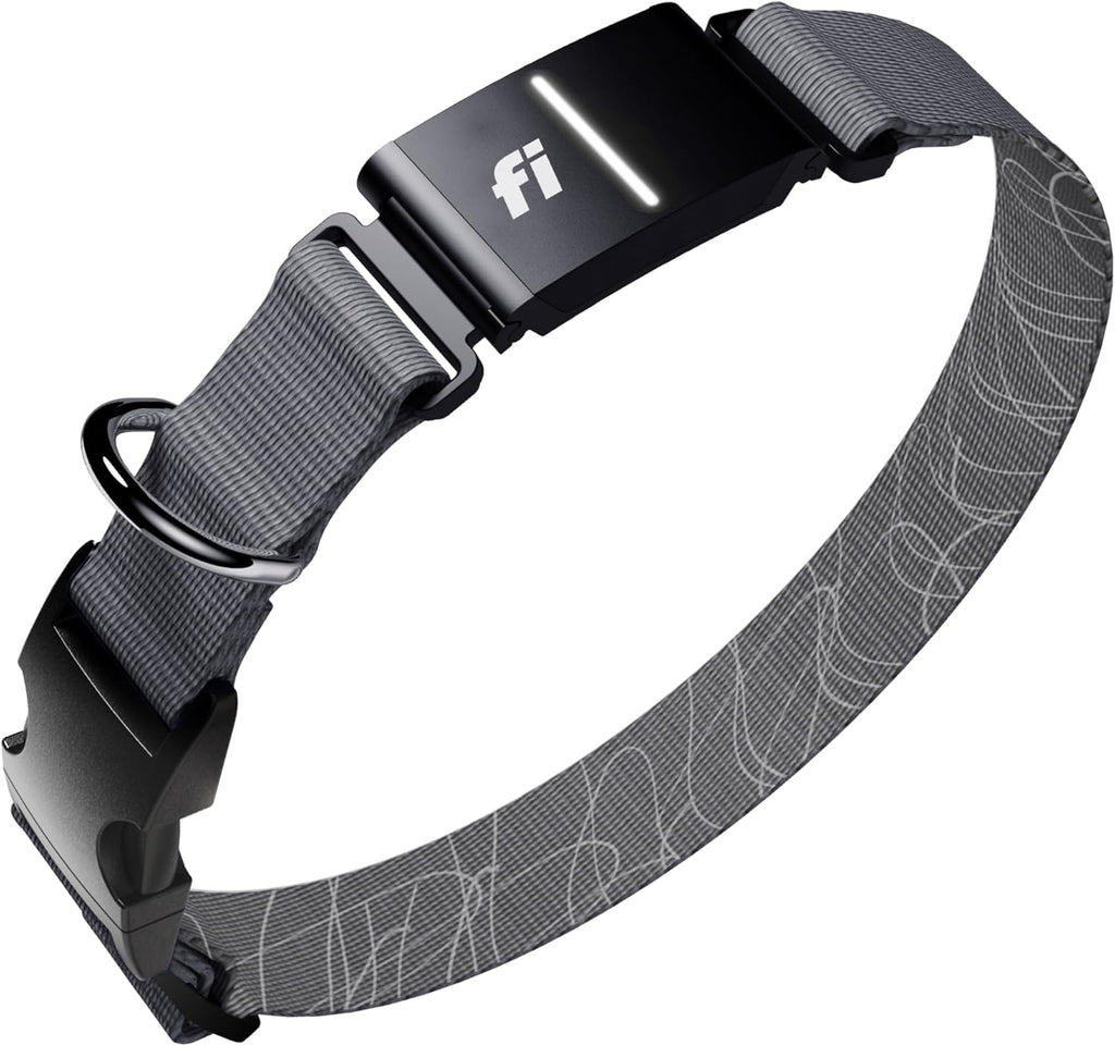 New Fi Series 3+ Smart Dog Tracker Collar [6 Month Membership Included] GPS Tracker for Dogs with Health & Behavior Monitoring, Escape Alerts, Waterproof, LED, Apple Watch Compatible (Gray, Medium)