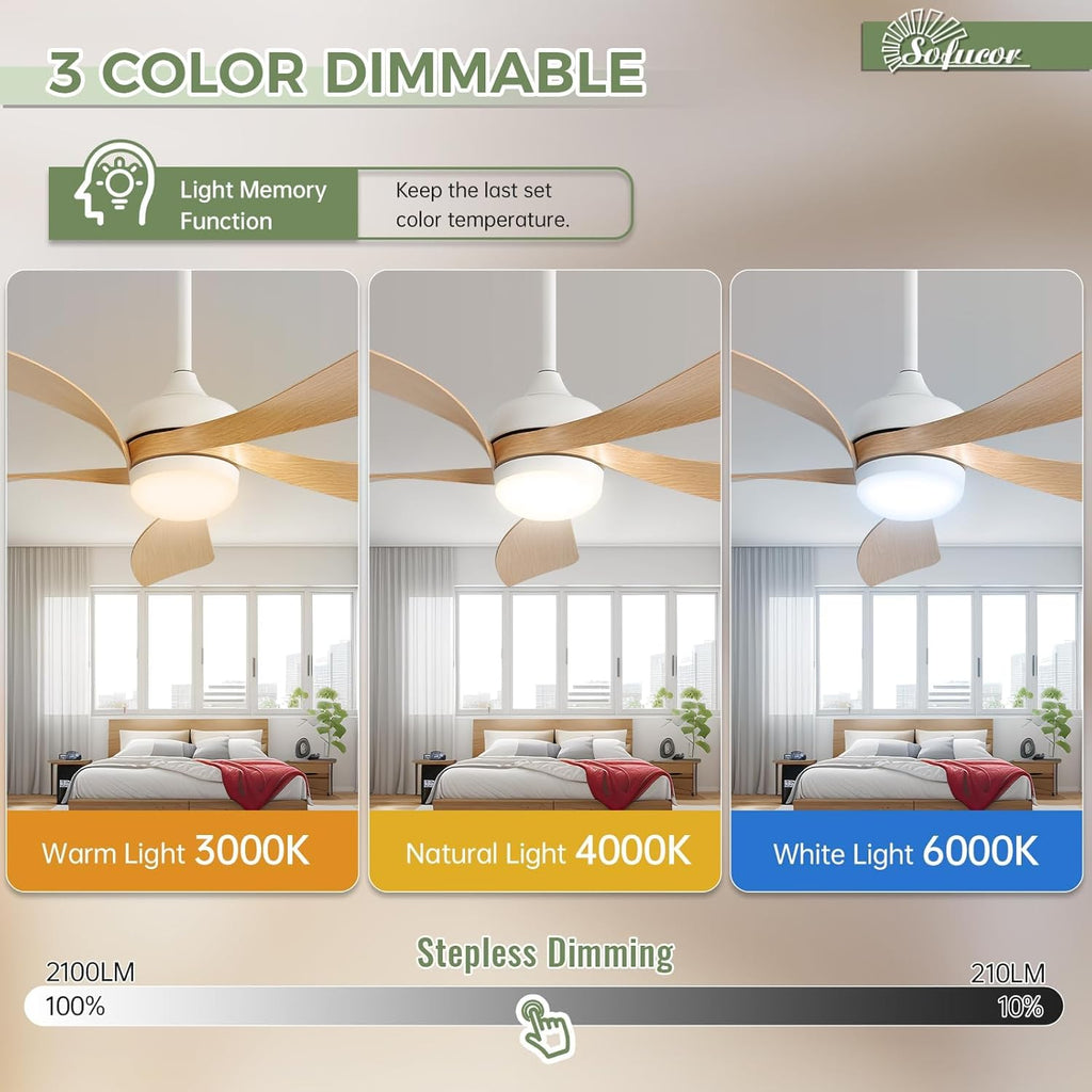Sofucor 52 Inch Ceiling Fans with Lights and Remote, Outdoor Ceiling Fan with Light 6-Speed 3 CCT 3-Timer, Modern Low Profile Ceiling Fan 5 Blade Reversible DC Motor for Living Room Bedroom Patio