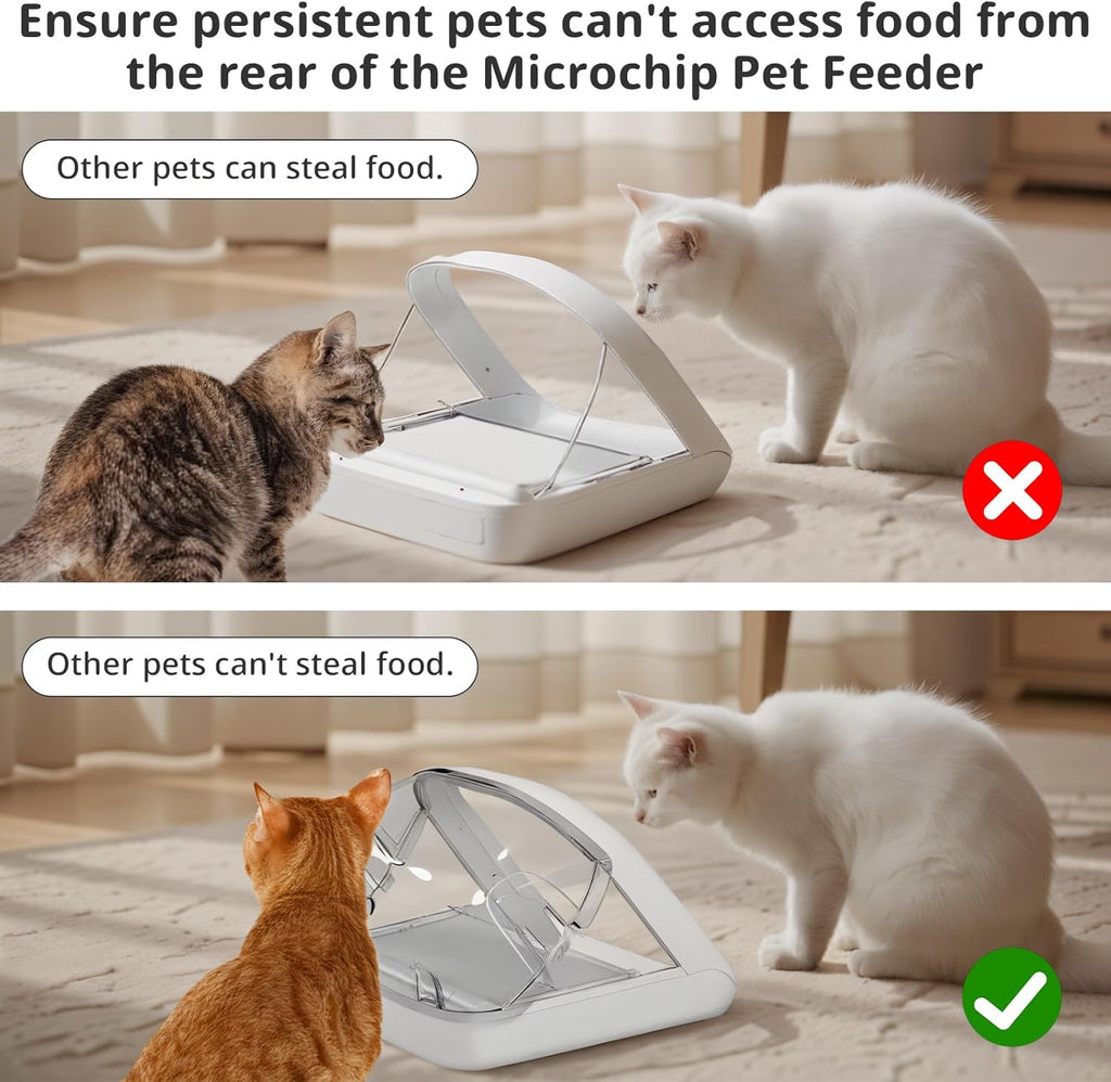 Rear Cover for Automatic Microchip Cat Pet Feeder - Prevents Persistent Pet from Getting Food from The Back of The Feeder (3 Pack)