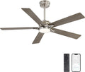 WINGBO 52" Smart Ceiling Fan with Lights, 5 Plywood Blades, 6 Speeds Reversible DC Motor, Works with Alexa and Google Assistant, 3CCT Dimmable LED Ceiling Fan for Bedroom Living Room, Nickel and Grey