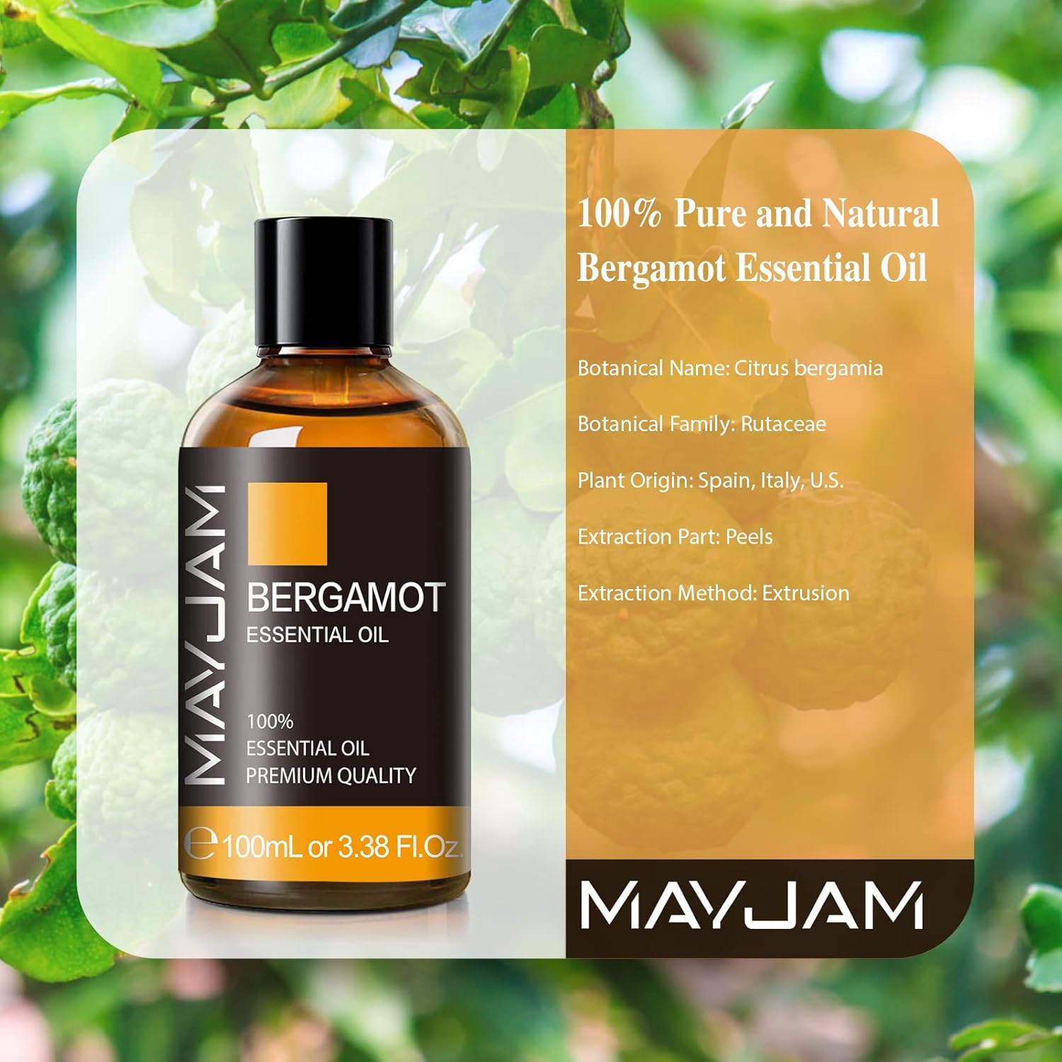 MAYJAM 100ML/3.38FL.OZ Bergamot Fragrance Oils with Glass Dropper, Essential Oils for Diffusers for Home, Long Lasting Scented Oils for Diffusers Soap Candle Making