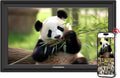 THOMSON Digital Picture Frame, Digital Photo Frame WiFi with 32 GB, HD IPS Touch Screen, Auto-Rotate, Slideshow, Share Photos/Videos from Phone by App (15.6Inch Black)