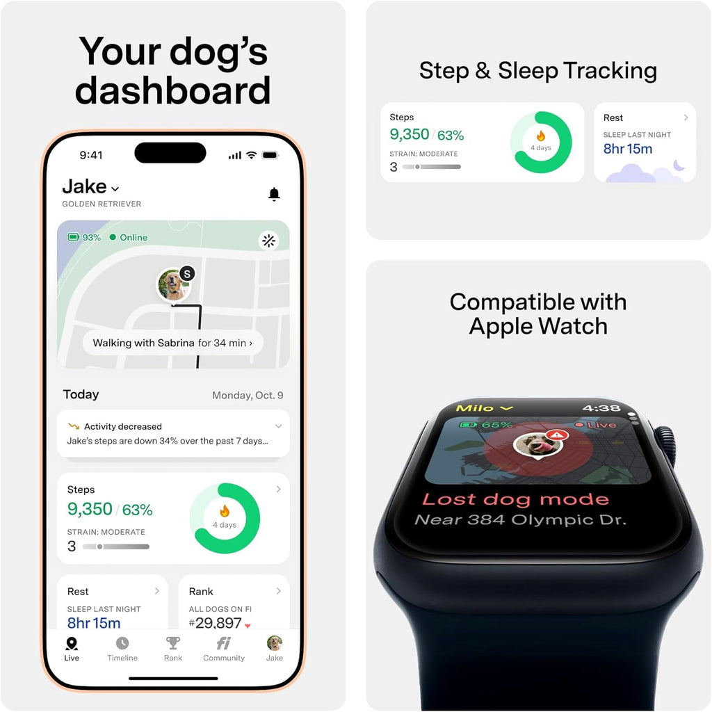 New Fi Series 3+ Smart Dog Tracker Collar [6 Month Membership Included] GPS Tracker for Dogs with Health & Behavior Monitoring, Escape Alerts, Waterproof, LED, Apple Watch Compatible (Gray, Medium)