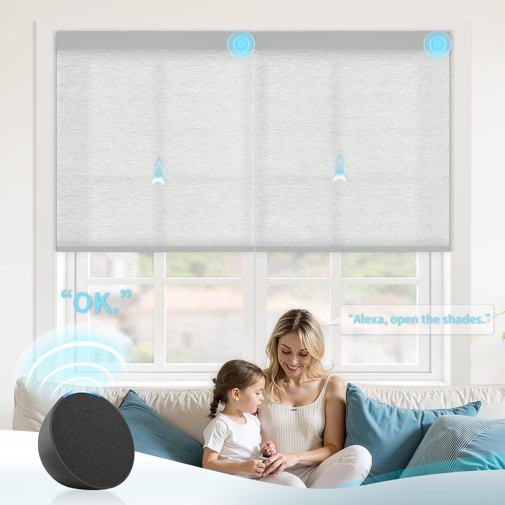 Motorized Blinds with Remote Custom Size Blackout Smart Roller Shades Compatible with Alexa Google, Electric Blinds for Windows