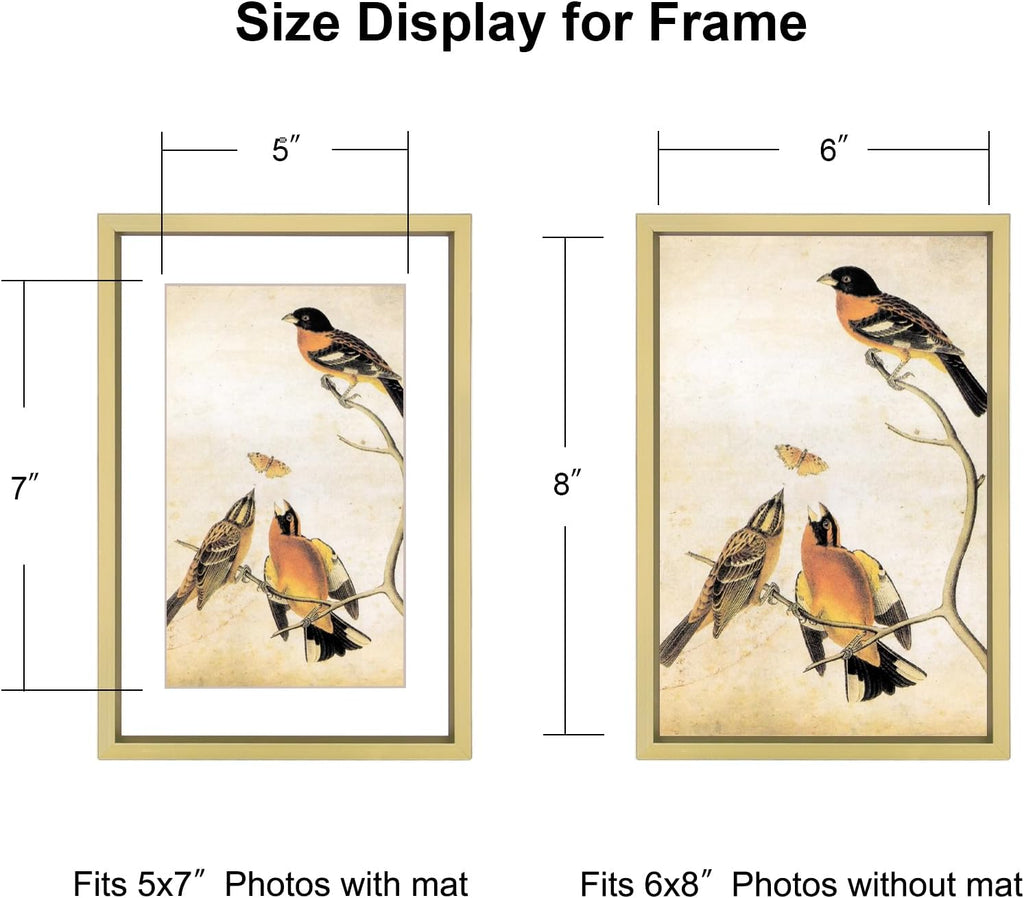 6x8 Picture Frame, Brass Aluminum Metal Photo Frames with HD Glass, Fits 5x7 with Mat or 6 x 8 without Mat, Display for Wall and Table