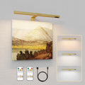 19.7inch Battery Operated Wireless Picture Light，Remote Control Painting Display Lights, Rechargeable Wall Lights with Three Modes and Power Display for Art Frame（Gold