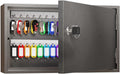 WeHere Key Lock Box for 60 Keys, Wall Mount Key Cabinet with Color Key Tags, Steel Key Storage Box with Lock, Key Holder Organizer for Home, Office, Apartment, Property Management