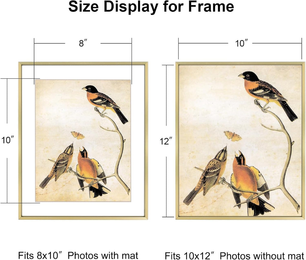 10x12 Picture Frame, Brass Aluminum Metal Photo Frames with HD Glass, Fits 8x10 with Mat or 10 x 12 without Mat, Display for Wall, 1 Pack