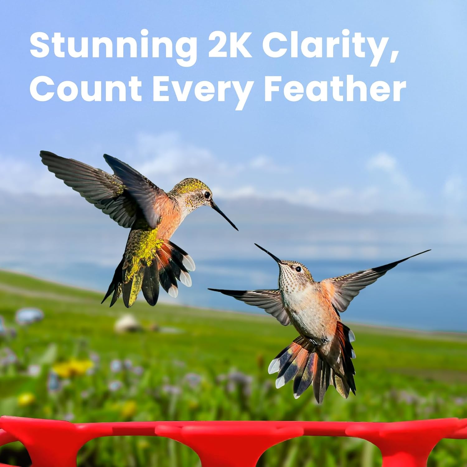Birdfy Hummingbird Feeder with Dual Cameras - 2K HD Smart Cameras Solar Powered, Close-Up Bird Video/Live Watching & Instant Notifications, Ant Moat & Leakproof - 20oz (AI Lifetime)