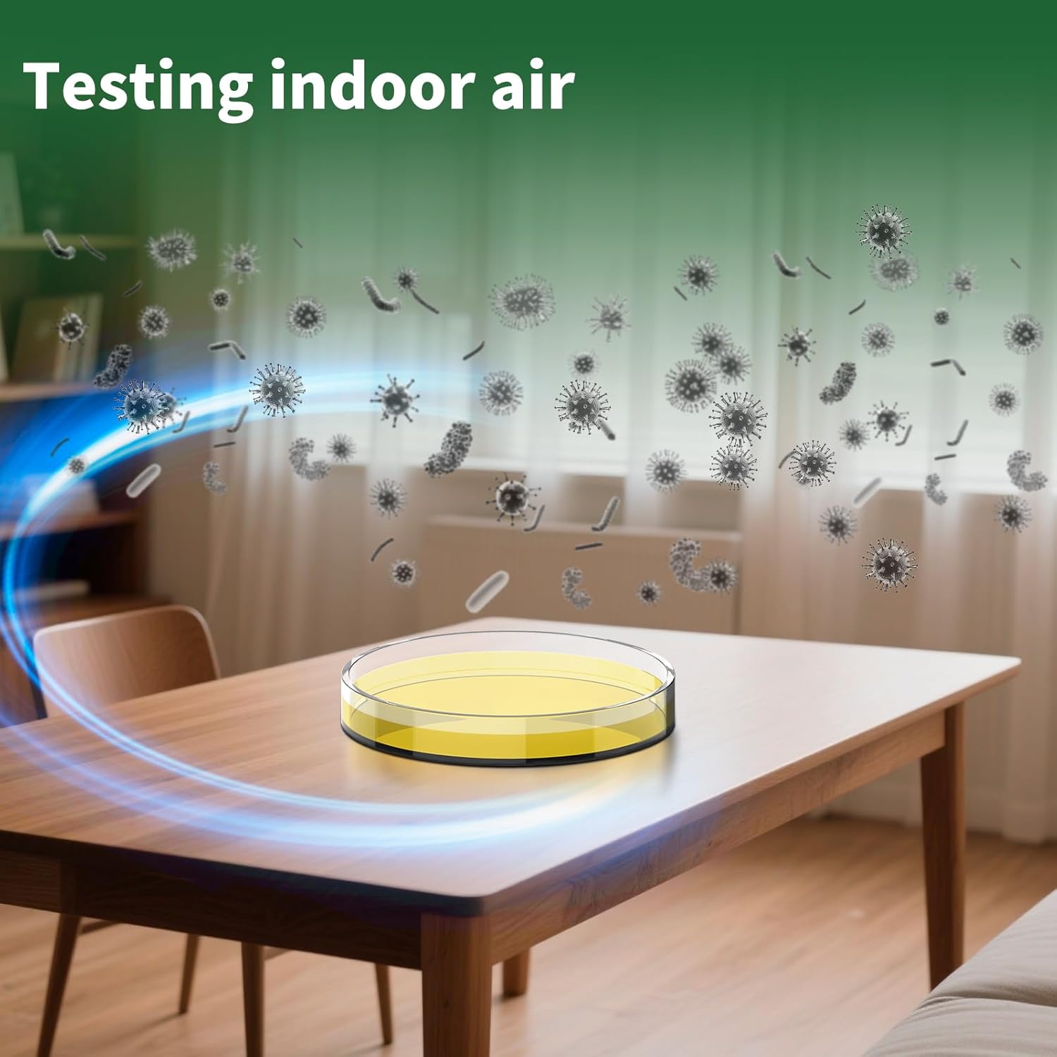 Mold Test Kit for Home - 6 Simple Mold Test kit,Test HVAC System,Surfaces & Indoor Air Quality,DIY Mold Detector at Home,Includes Detailed Mold Identification Guide,air Tester