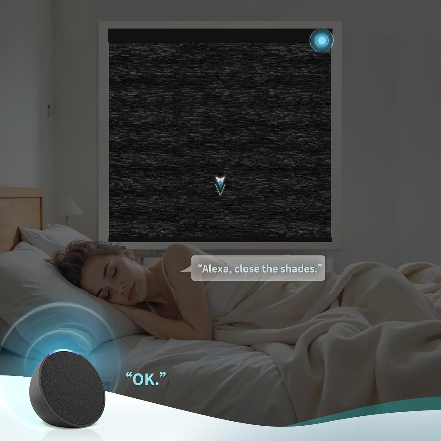 Motorized Blinds with Remote Custom Size Blackout Smart Roller Shades Compatible with Alexa Google, Electric Blinds for Windows