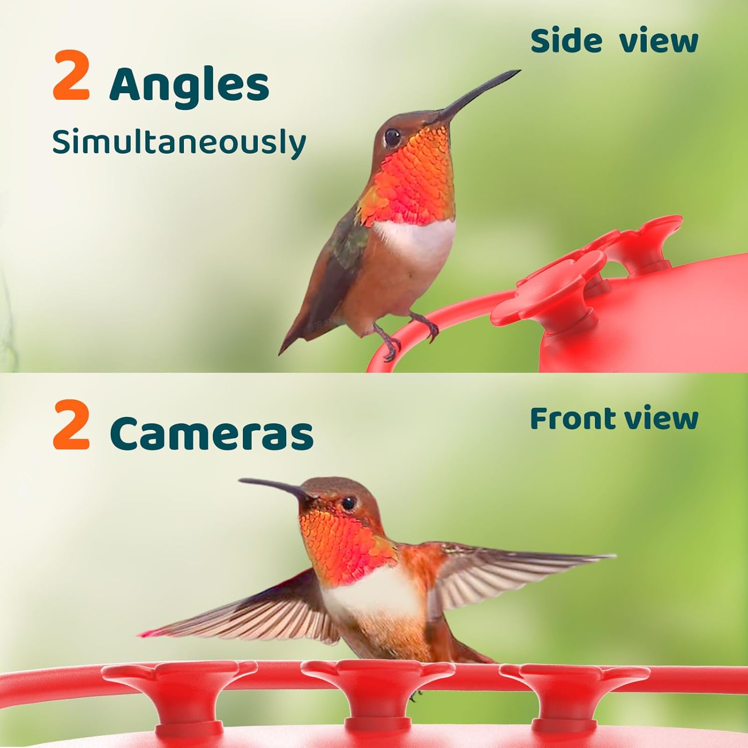 Birdfy Hummingbird Feeder with Dual Cameras - 2K HD Smart Cameras Solar Powered, Close-Up Bird Video/Live Watching & Instant Notifications, Ant Moat & Leakproof - 20oz (AI Lifetime)