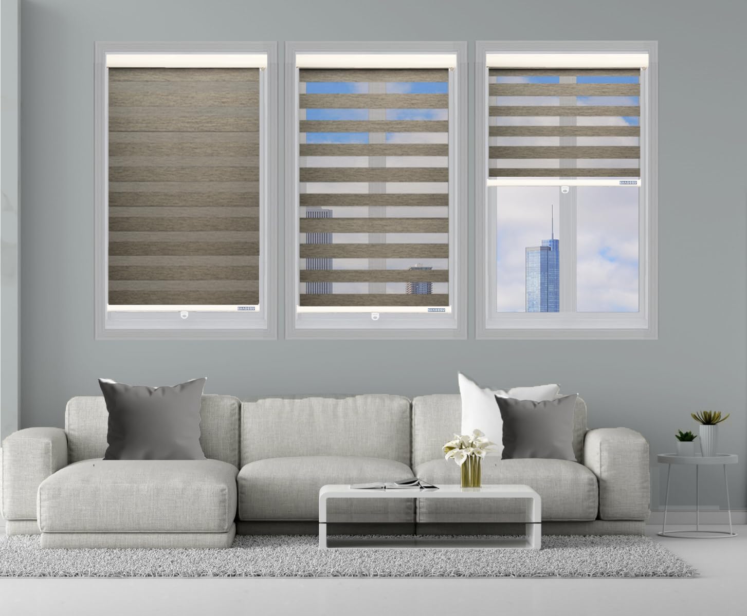 Shadesu Cordless Zebra Blinds for Windows, 31" W x 72" H, Brown, Dual Layer Free-Stop Zebra Shades, Light Control for Day and Night, Sheer Blinds for Indoor Windows, Bedroom, Kitchen