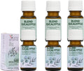Dual Eucalyptus Essential Oil Blends by One Arome – Eucalyptus Oil (Corymbia Citriodora - Lemon & Eucalyptus Globulus) | Oil for Diffusers, Massage (Dilute) & DIY (Pack of 6 × 0.34 fl oz Each)