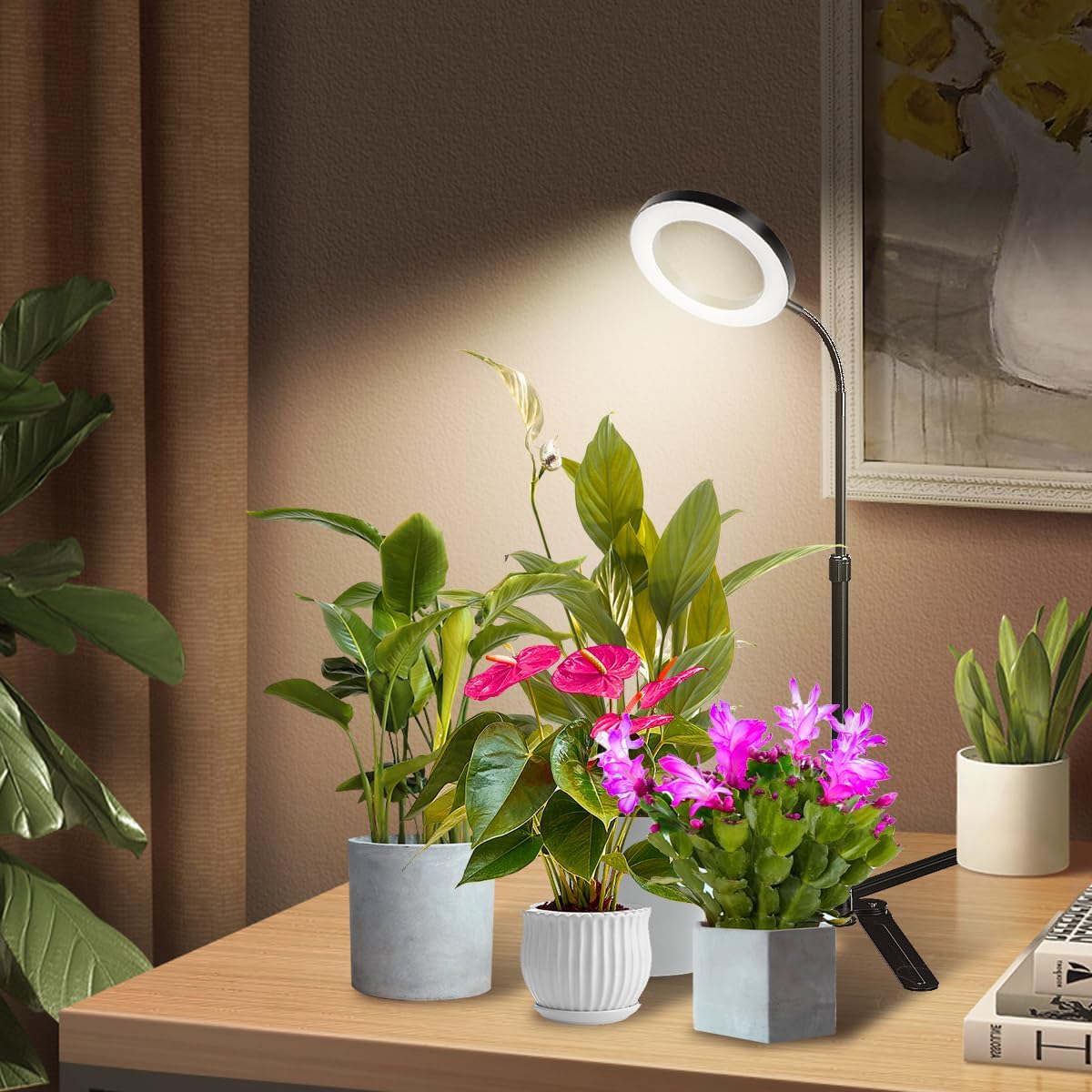 YEOLEH Plant Light for Indoor Growing Plants 6000K Full Spectrum LED Grow Lamp with Dimmable & Auto Timer