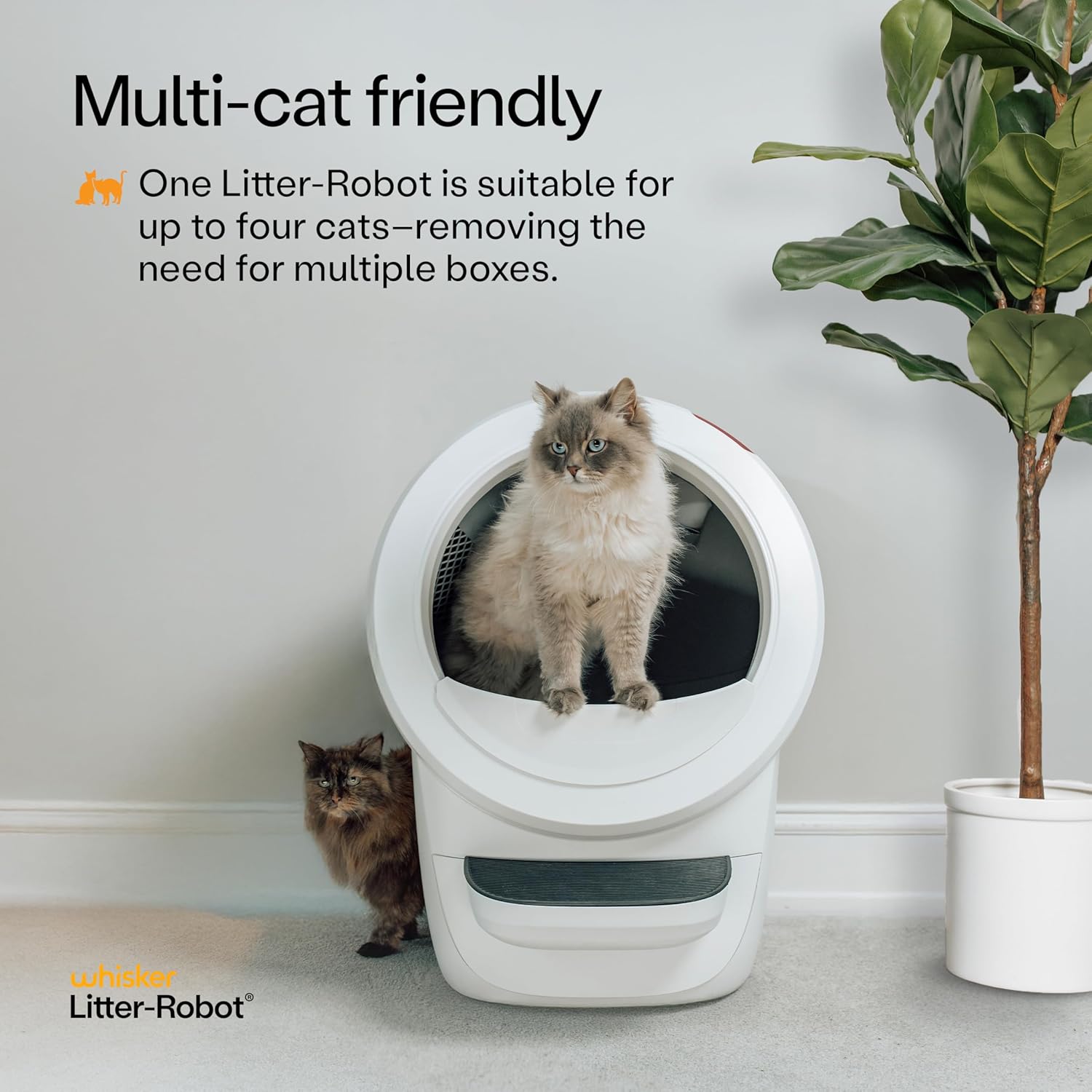 Litter-Robot 4 Supply & Accessory Bundle by Whisker, White- Automatic Self-Cleaning Cat Litter Box, Includes Litter-Robot 4, Ramp, Mat, 3 OdorTrap Packs, 10 Liners, 30 Wipes, & 2 Carbon Filters