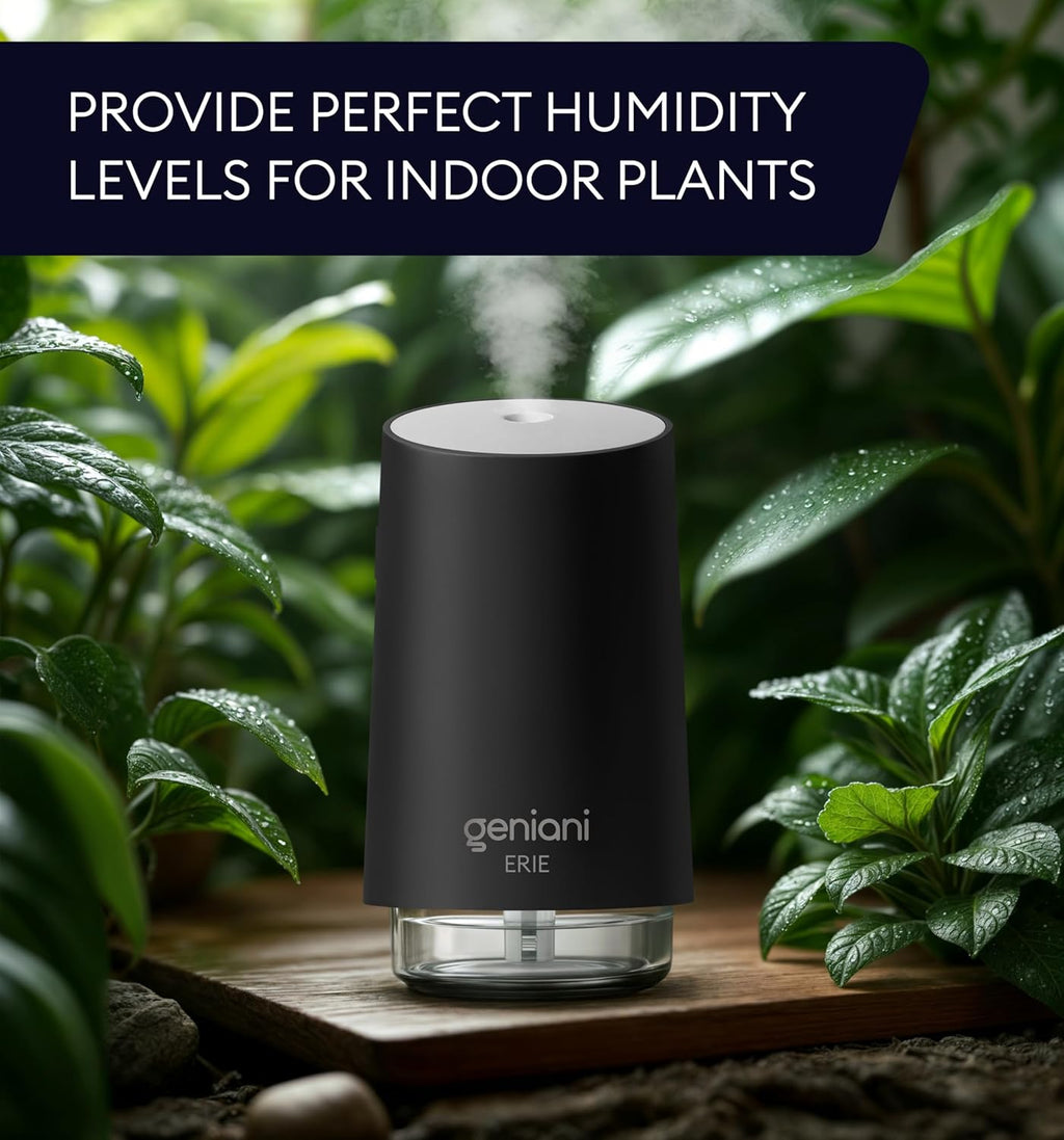 GENIANI Portable Small Cool Mist Humidifier – USB Powered (Not Rechargeable), Compact Desktop Humidifier for Plants, Office, Baby Room – Auto Shut Off & Night Light – Black, 0.25L
