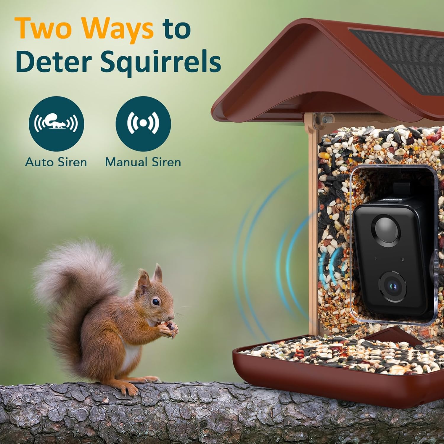 BIRDLEGEND® BL01 Bird Feeder with Camera Solar Powered, Free AI Smart Camera Bird Feeder with 64GB Card DIY Add-ons 1080P Live Auto Capture Videos Pictures, Gifts for Birdlover Mom Dad, 2.4GHz WiFi