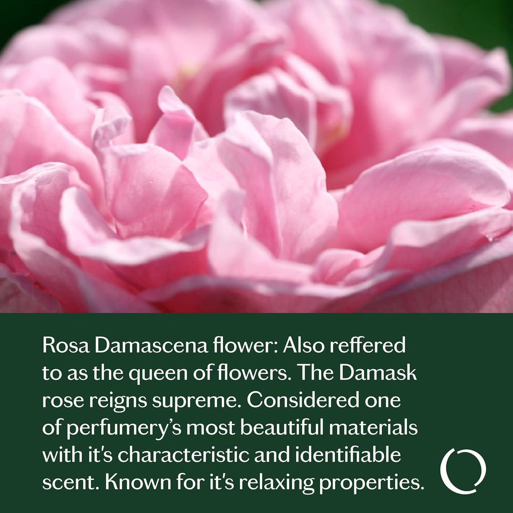 Livedrops 24/7 Confident Essential Oil Blend 10ml | Rose Damascena, Pink Pepper & Blackcurrant Bud Oil | Natural Vegan Aromatherapy | Skin & Diffuser Use | Crafted in France | Clinically Tested