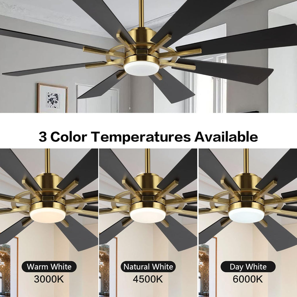 WINGBO 60" DC Ceiling Fan with Lights and Remote Control, Gold and Black Ceiling Fan, 8 Plywood Blades, 6-Speed Reversible DC Motor, Modern Ceiling Fans Indoor for Kitchen Bedroom Living Room