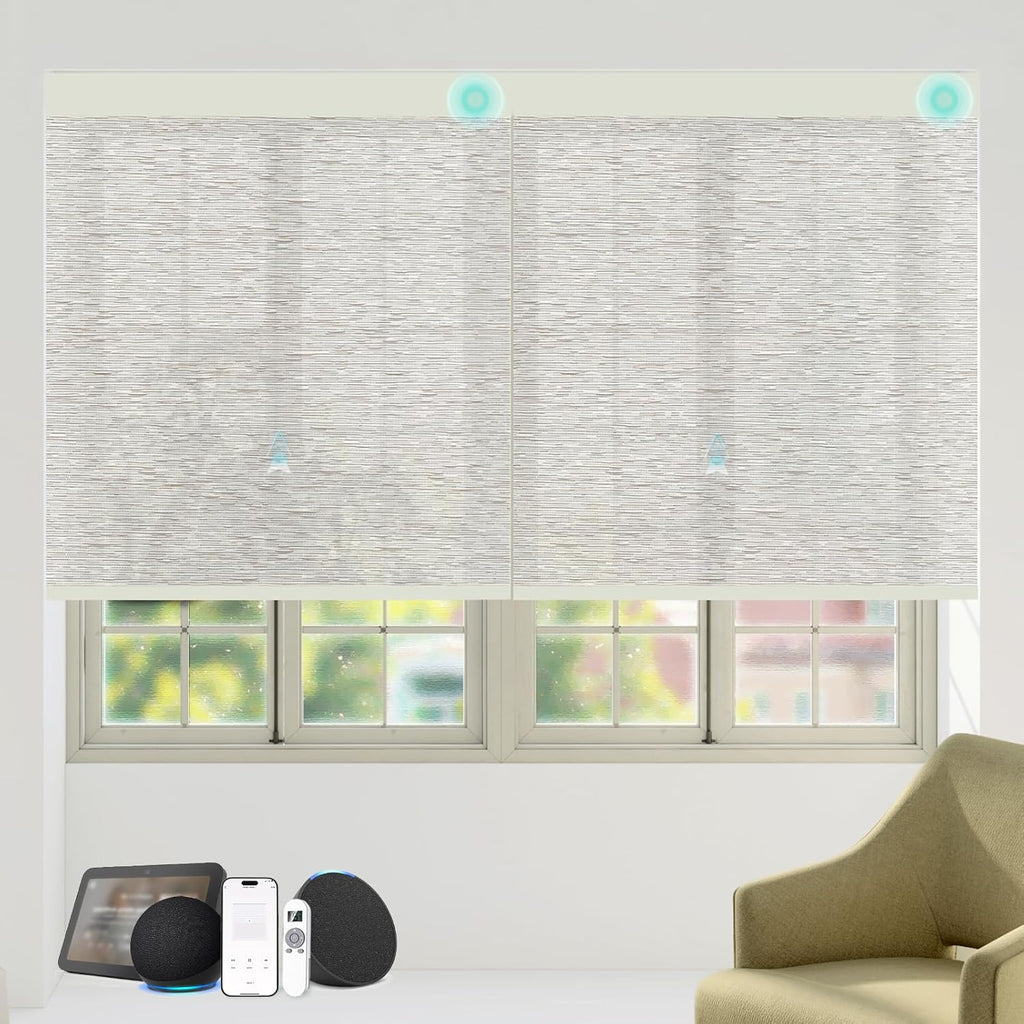 Motorized Blinds with Remote Custom Size Blackout Smart Roller Shades Compatible with Alexa Google, Electric Blinds for Windows