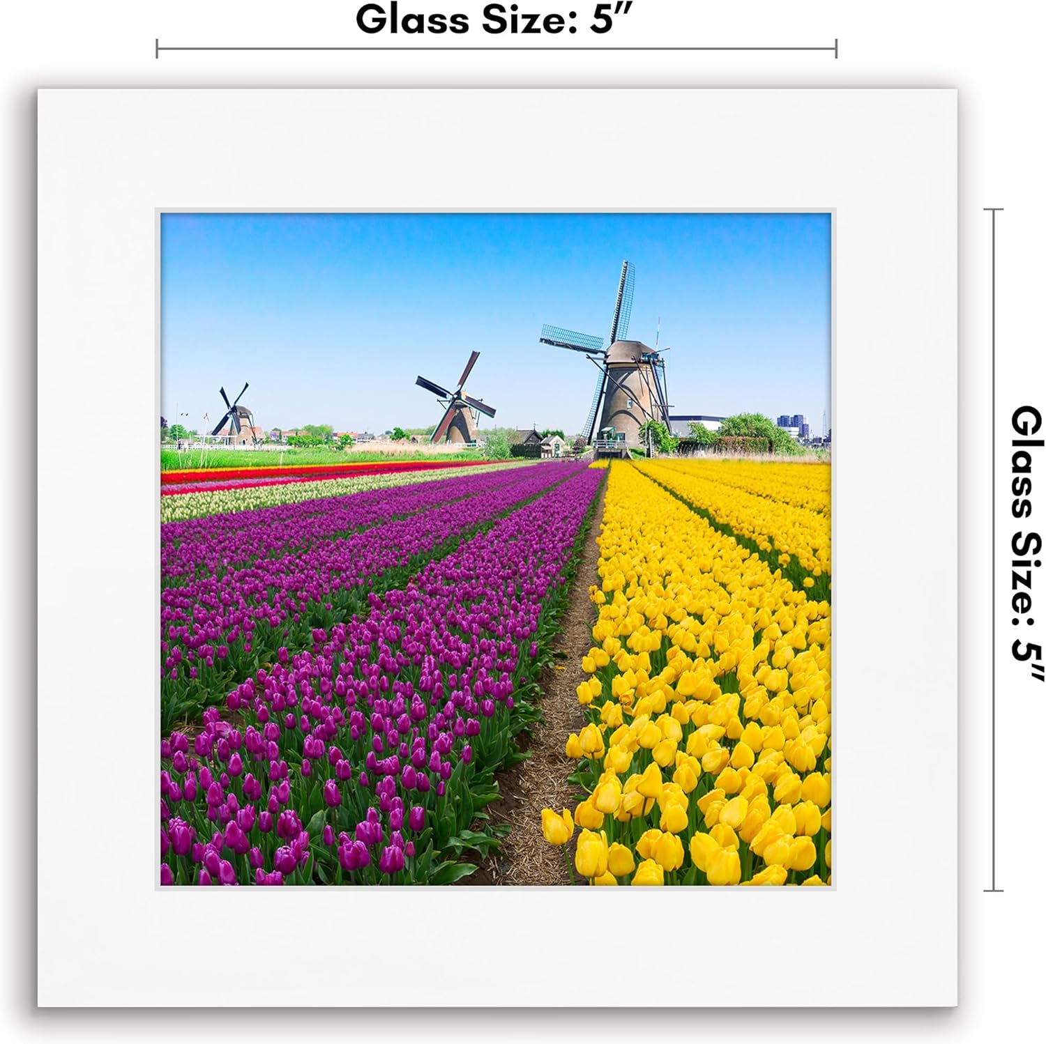 Americanflat 5x5 Picture Frame with Shatter-Resistant Glass - Signature Collection - Gallery Style Frames Made of Engineered Wood - Square Frame for Tabletop and Wall Display - White