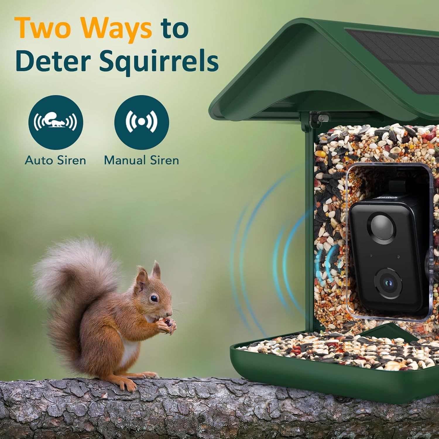 BIRDLEGEND® BL01 Bird Feeder with Camera Solar Powered, Free AI Smart Camera Bird Feeder with 64GB Card DIY Add-ons 1080P Live Auto Capture Videos Pictures, Gifts for Birdlover Mom Dad, 2.4GHz WiFi