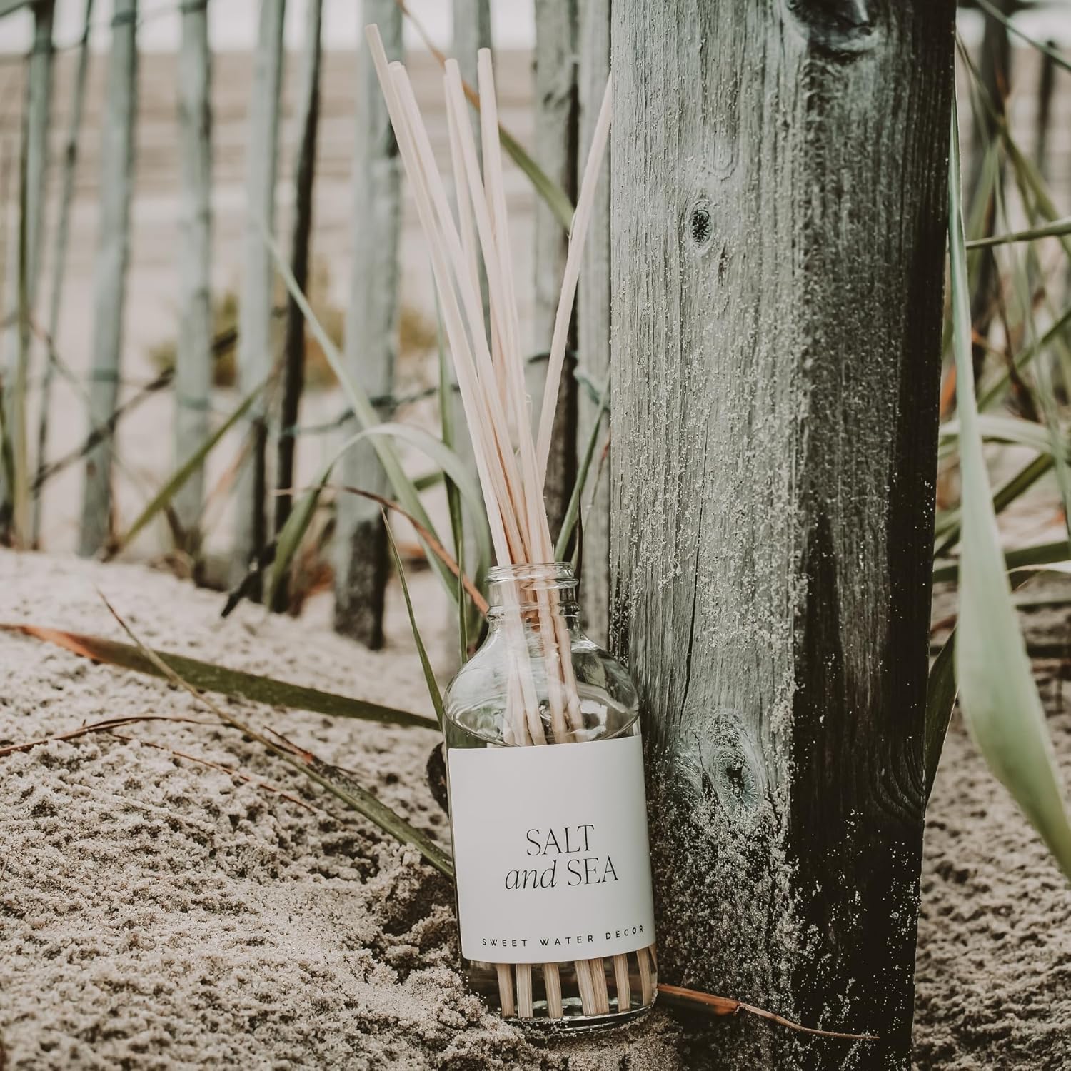 Sweet Water Decor Salt and Sea Reed Diffuser Set - Sea Salt, Citrus, Musk, and Amber Summer Scented Diffuser - Scent Diffusers for Home, Long Lasting Fragrance, Made in The USA