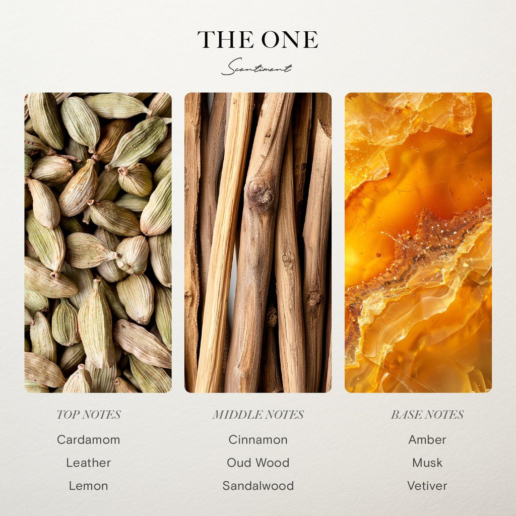 Scentiment Diffuser Oil - The One | Inspired by Luxury Five Star Hotel Lobby Scent | Aromatherapy Fragrance Oil | Notes of Cardamom, Leather, Lemon with Cinnamon & Sandalwood (50ml)