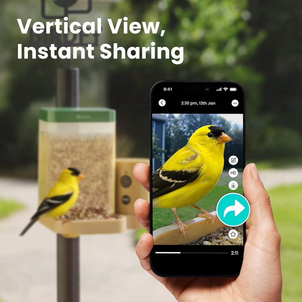 Birdfy Bird Feeder with Camera for Rookie - Solar Powered Outdoor Bird Feeder with Dual Night Vision, AI Recognition, Slow Motion & IP66 Waterproof, Ideal for BirdLovers (AI by Subscription)