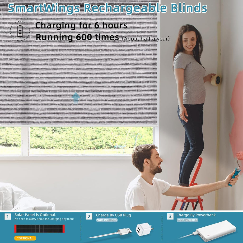 SmartWings Motorized Smart Roller Shades in Light Filtering, Electric Blinds with Remote for Windows Compatible with Alexa/Google Home/Homekit, Customized, Safari Translucent Rock Grey