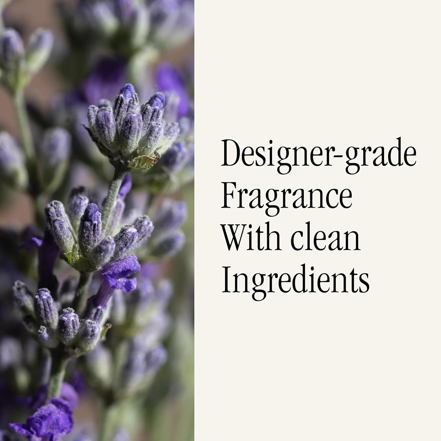 PuraHome Scent Refill - Smart Home Air Diffuser - Up to 120-Hours of Luxury Fragrance per Refill - Home Essential - Clean & Safe Diffuser Fragrance - 2 Pack, Simply Lavender