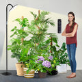 chiphy Grow Lamp, 60W Full Spectrum Grow Lights for Indoor Plants, 4/8/12H Timer, 2300K-6500K, 10 Dimmable Brigntness, 76'' Height Adjustable, Remote Control, Ideal for Tall Large Plants