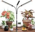 GooingTop Grow Light for Indoor Plants,5000K Full Spectrum Growing Plant Lamp with White Red Blue LED for Pots Succulents Seed Starting,Height Adjustable 10-32'' with Optional Dimming & Timer