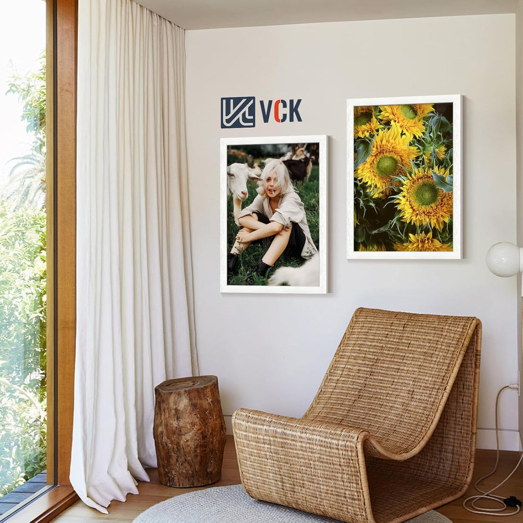 VCK 22x28 Picture Frames white Set of 6, Wide Border Wood Poster Frame, Multi-Directional Display Family Photos, Office Prints, Studio/Gallery Art, Woodgrain Series, Wall Hanging