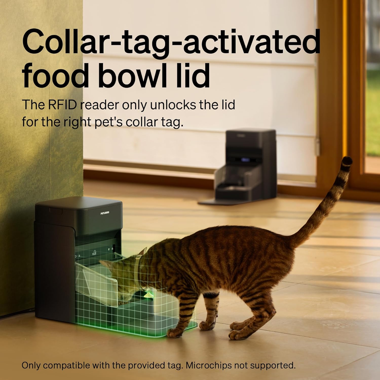 Bundle of 2 Packs PETLIBRO RFID Automatic Cat Feeder, Collar Sensor for Personalized Meals, Cats Recognition, Diet Tracking + RFID Multi Cats Water Fountain with Hydration Monitoring, x3 Collar Tags