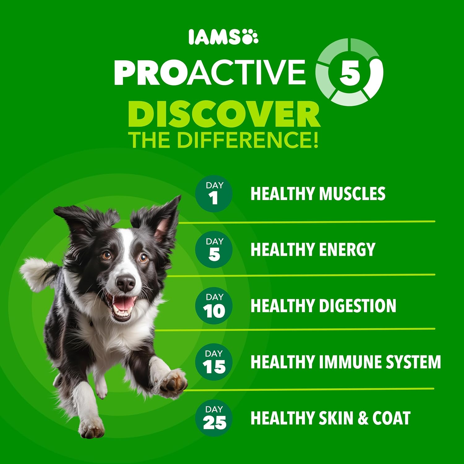 IAMS Proactive Health Adult Dry Dog Food Beef and Rice Recipe, 30 lb. Bag