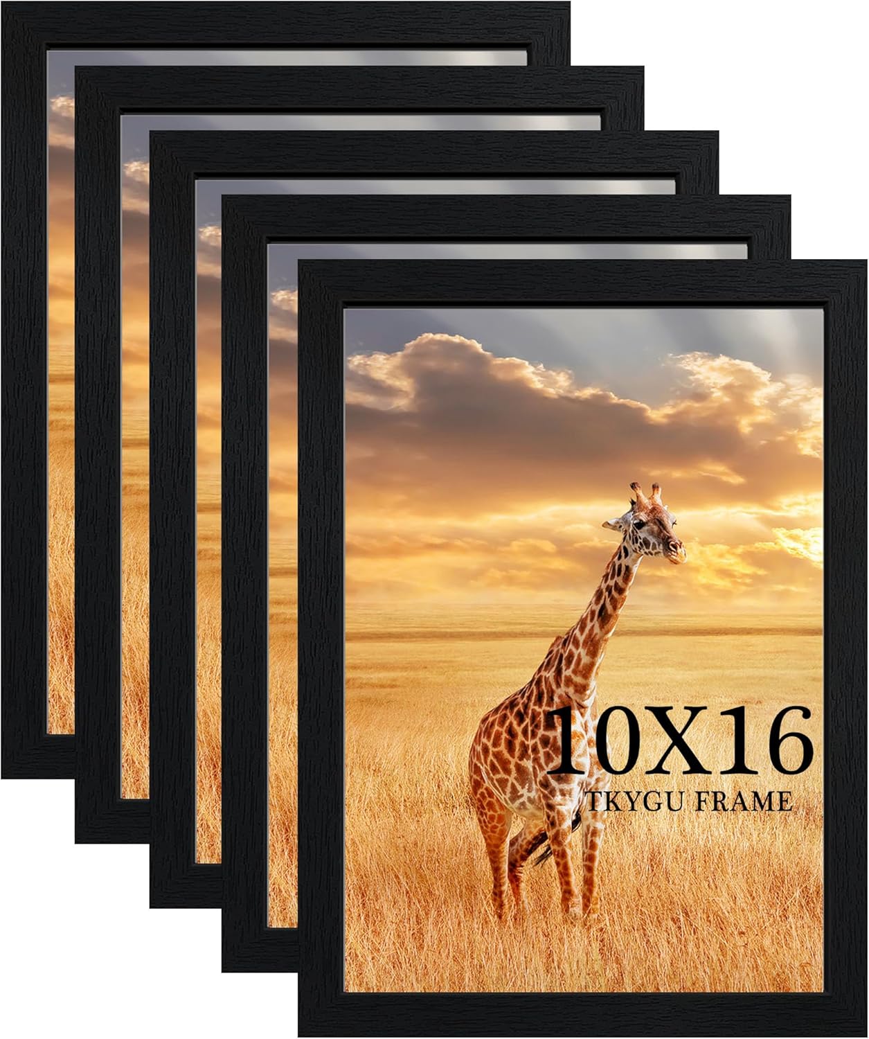 10x16 Picture Frame Set of 5,Wooden Frame 10x16 Wall Gallery Poster Photo frame with Durable Shatter Resistant Plexiglass for Wall Mounting Family -friend- wedding best gift