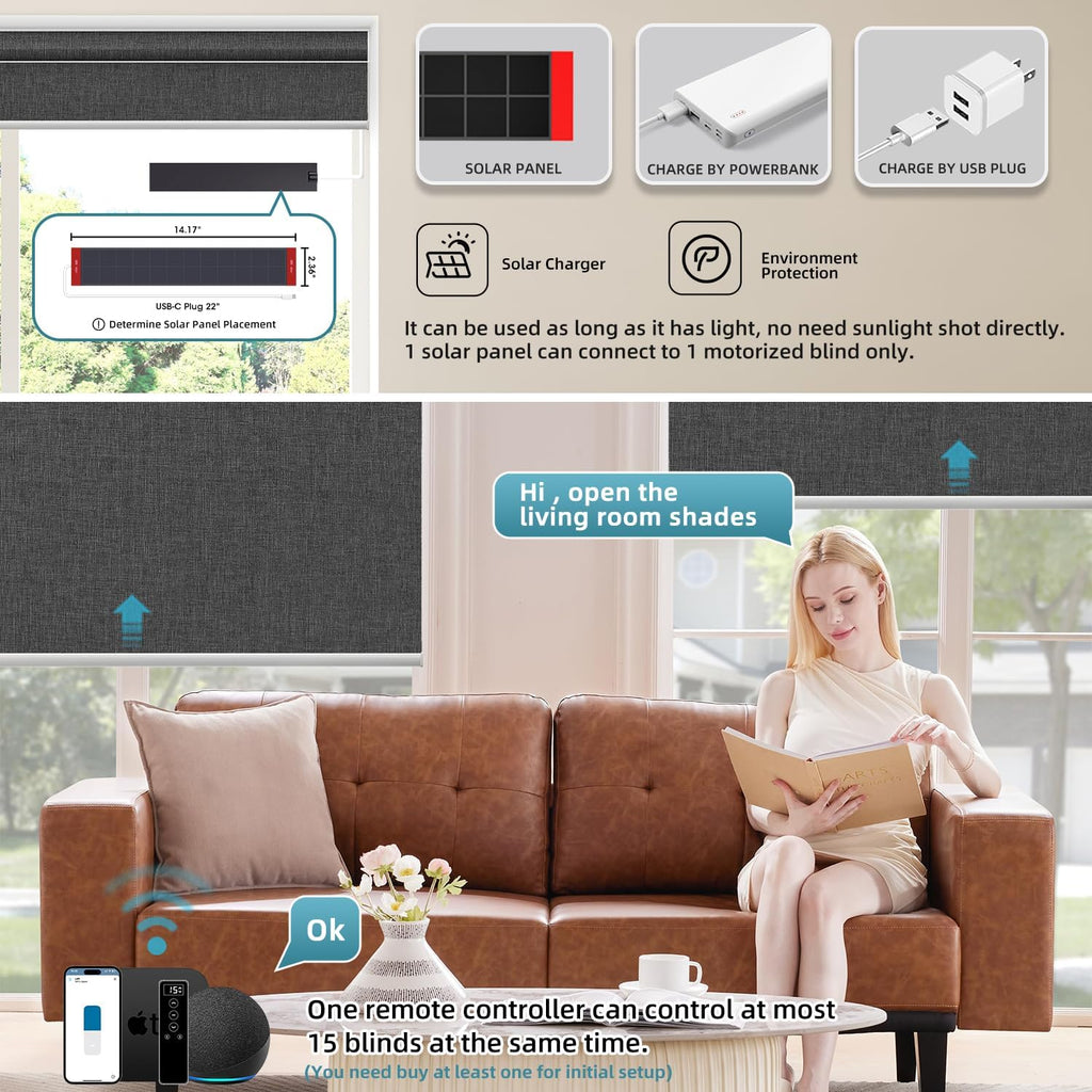 SmartWings Motorized Blinds Dual-Sided Cordless Smart Blackout Shades, Custom Size, Rechargeable Battery, Work with Matter/Apple HomeKit, Alexa, Thread/Zigbee, Remote Optional, Bouvardia Dark Grey