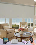Graywind Smart Coupled Roller Shades Compatible with Alexa Google Custom Size Extra Large Motorized Blinds for Windows(Beige White)