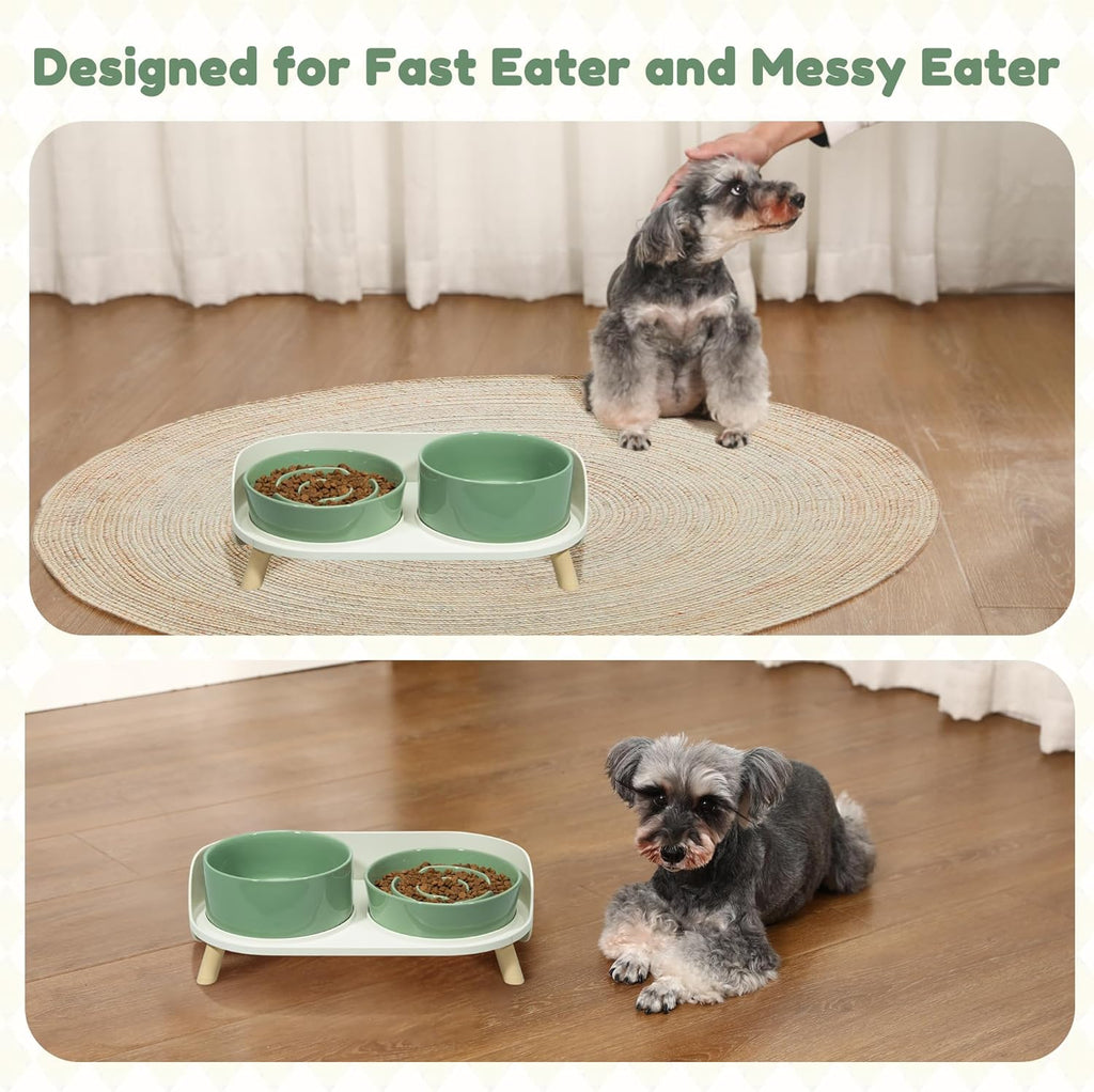 Elevated Slow Feeder Dog Bowls - Ceramic Food and Water Bowl Set with Stand - Raised Pet Dishes for Small and Medium Sized Dogs