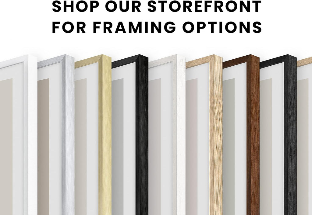 HAUS AND HUES Picture Frames for Wall - Set of 5 White Photo Frames, Photo Frame Collage, Bulk Picture Frames, Assorted Picture Frames, Picture Frames Bulk (Two 8x10, Three 12x16 White)