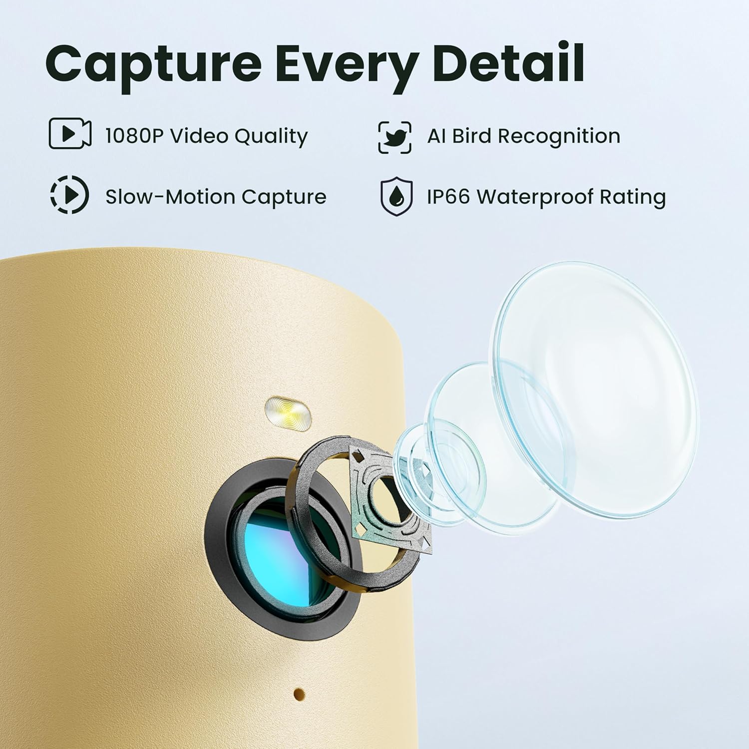 Birdfy Bird Feeder with Camera for Rookie - Solar Powered Outdoor Bird Feeder with Dual Night Vision, AI Recognition, Slow Motion & IP66 Waterproof, Ideal for BirdLovers (Lifetime Free AI)