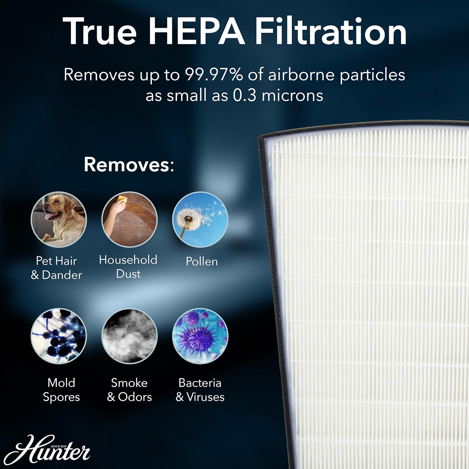 Hunter HP800 Air Purifiers for Home Large Room and Bedroom. True HEPA Air Purifier for Pets, Odors, Allergens, Smoke, Dust, VOC's. 4 Fan Speeds, Quiet Sleep Mode. Cleans 2585 Ft² per Hour. Graphite
