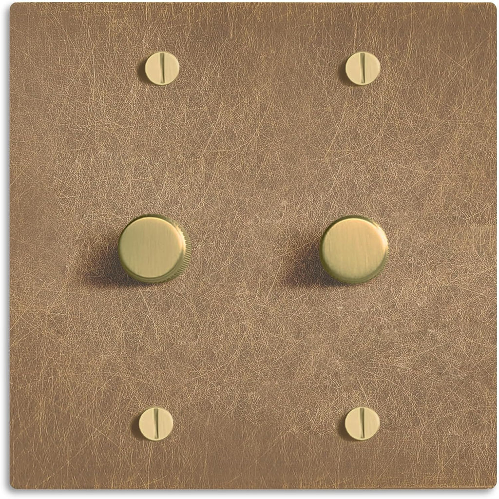SELECT Vintage Brass Dimmer Light Switch, 1 Way Rotary Dimmer, 2 Gang TRIAC/Leading Edge Dimmable LED Light Switch, 15A 120V AC with Brass Knob, Faceplate & Dimming Module, UL Listed
