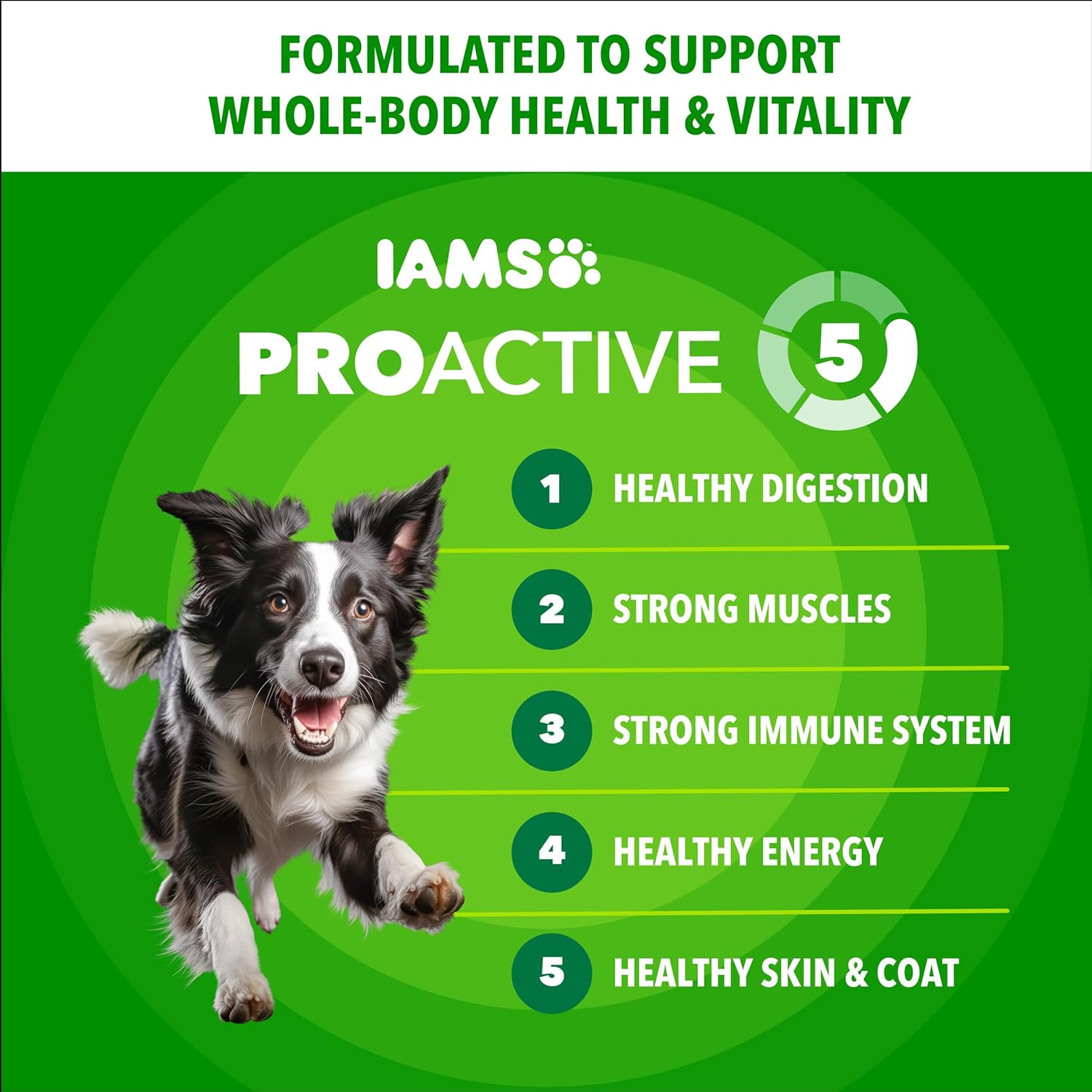 IAMS Proactive Health Adult Minichunks Dry Dog Food Chicken & Whole Grain Recipe, 3.3 lb. Bag