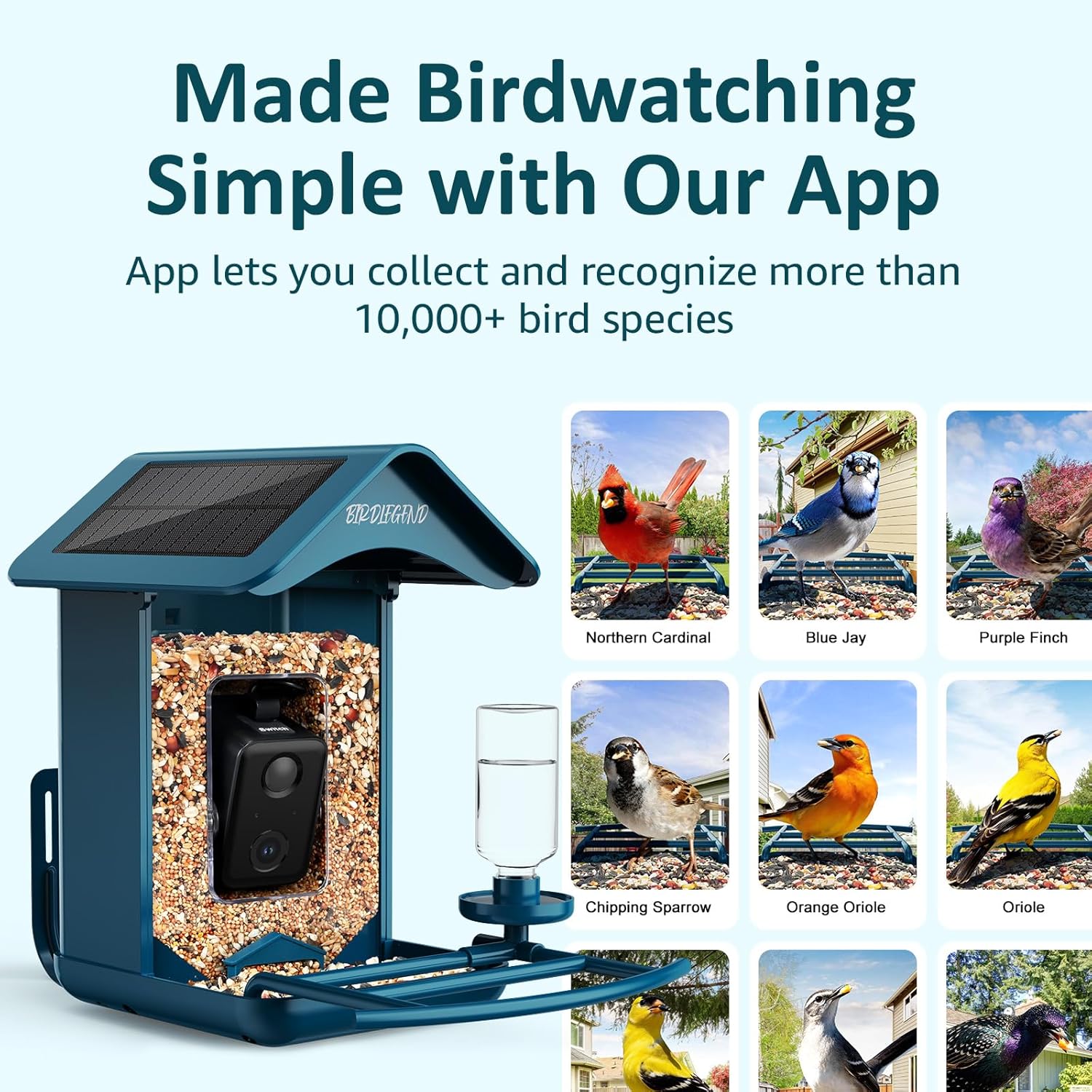 BIRDLEGEND® Bird Feeder with Camera Solar Powered, 2K Portrait Live Free AI Forever Instant Arrival Alerts with 64GB Card, Smart Camera Birds Feeders Wireless Outdoor Gift for Bird Lover, 2.4G WiFi